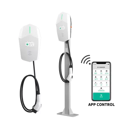 خرید شارژر خودرو برقی AC مدل PAM-22 پنودا از فروشگاه رضوان خودرو هلدینگ رضوان